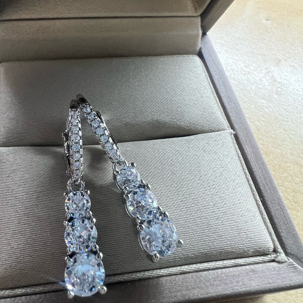 Elegant Silver Drop Earrings